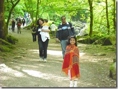 20090531_05KillarneyTorcWaterfall_0015d